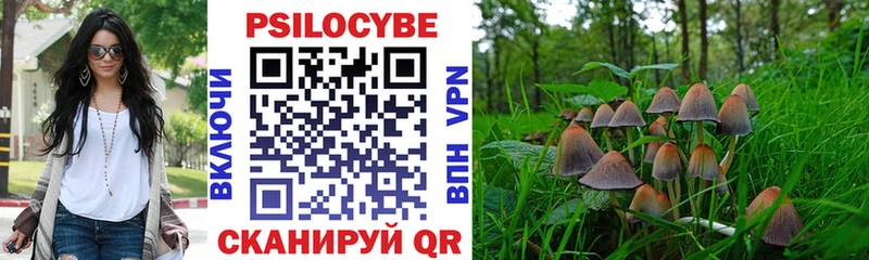 купить   Сретенск  Галлюциногенные грибы GOLDEN TEACHER 
